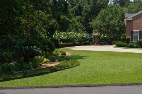 Landscape Renovation